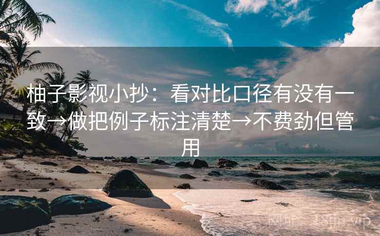 柚子影视小抄：看对比口径有没有一致→做把例子标注清楚→不费劲但管用